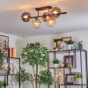 Gastor Plafondlamp, Kogellampje Amber, Duidelijk, Rookkleurig, 5-lichts