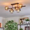Gastor Plafondlamp, Kogellampje Amber, Duidelijk, Rookkleurig, 5-lichts