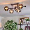 Gastor Plafondlamp, Kogellampje Chroom, Duidelijk, Rookkleurig, 5-lichts