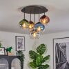Koyoto Plafondlamp, Kogellampje Blauw, Goud, Groen, Duidelijk, Koperkleurig, Rookkleurig, 5-lichts