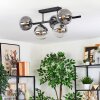 Gastor Plafondlamp, Kogellampje Duidelijk, Rookkleurig, 5-lichts