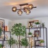Gastor Plafondlamp, Kogellampje Duidelijk, Rookkleurig, 5-lichts