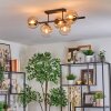 Gastor Plafondlamp, Kogellampje Amber, Duidelijk, 5-lichts
