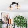 Koyoto Plafondlamp, Kogellampje Amber, Duidelijk, 2-lichts