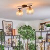Koyoto Plafondlamp, Kogellampje Amber, Duidelijk, 2-lichts