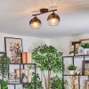 Koyoto Plafondlamp, Kogellampje Duidelijk, Rookkleurig, 2-lichts