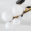 Chehalis Plafondlamp, Kogellampje Goud, Zwart, 10-lichts