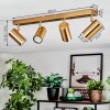 Javel Plafondlamp, Plafondspot Goud, 4-lichts