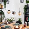 Gastor Hanglamp, Kogellampje, Hanglamp Amber, Rookkleurig, 3-lichts
