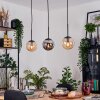 Gastor Hanglamp, Kogellampje, Hanglamp Amber, Rookkleurig, 3-lichts
