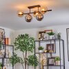 Gastor Plafondlamp, Kogellampje Amber, Rookkleurig, 5-lichts