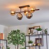 Gastor Plafondlamp, Kogellampje Amber, Rookkleurig, 5-lichts