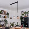 Gastor Hanglamp, Kogellampje, Hanglamp Amber, Duidelijk, Rookkleurig, 3-lichts