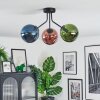 Gastor Plafondlamp, Kogellampje Blauw, Groen, Koperkleurig, 3-lichts
