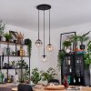 Gastor Hanglamp, Kogellampje, Hanglamp Amber, Duidelijk, Rookkleurig, 3-lichts