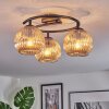 Ripoll Plafondlamp, Kogellampje Amber, 3-lichts