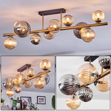 Chehalis Plafondlamp, Kogellampje Goud, Zwart, 10-lichts