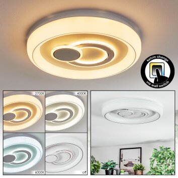 Rarel Plafondlamp LED Zilver, Wit, 1-licht