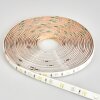 Rayen LED-strip LED Wit, 1-licht, Kleurwisselaar