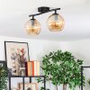 Koyoto Plafondlamp, Kogellampje Amber, 2-lichts