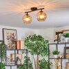 Koyoto Plafondlamp, Kogellampje Amber, 2-lichts