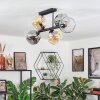 Ripoll Plafondlamp, Kogellampje Amber, Duidelijk, Rookkleurig, 6-lichts