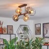 Ripoll Plafondlamp, Kogellampje Amber, Duidelijk, Rookkleurig, 6-lichts