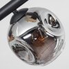 Ripoll Plafondlamp, Kogellampje Amber, Duidelijk, Rookkleurig, 6-lichts