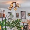 Ripoll Plafondlamp, Kogellampje Amber, Duidelijk, Rookkleurig, 6-lichts