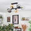 Ripoll Plafondlamp, Kogellampje Amber, Duidelijk, Rookkleurig, 6-lichts