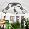 Baripada Plafondlamp Antraciet, Chroom, 3-lichts