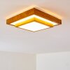 Sora Wood Plafondlamp LED Wit, 1-licht