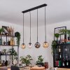 Gastor Hanglamp, Kogellampje, Hanglamp Amber, Duidelijk, Rookkleurig, 4-lichts