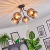 Koyoto Plafondlamp, Kogellampje 52 cm Duidelijk, Rookkleurig, 5-lichts
