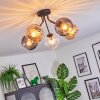 Koyoto Plafondlamp, Kogellampje 52 cm Amber, Duidelijk, Rookkleurig, 5-lichts