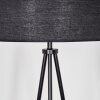 Flemming Staande lamp Zwart, 1-licht