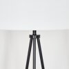 Flemming Staande lamp Zwart, 1-licht