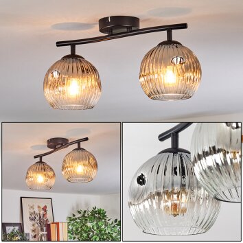 Ripoll Plafondlamp, Kogellampje Chroom, Duidelijk, Rookkleurig, 2-lichts