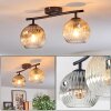 Ripoll Plafondlamp, Kogellampje Amber, Duidelijk, Rookkleurig, 2-lichts