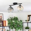 Ripoll Plafondlamp, Kogellampje Amber, Duidelijk, Rookkleurig, 2-lichts