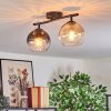 Koyoto Plafondlamp, Kogellampje Amber, Duidelijk, Rookkleurig, 2-lichts