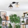 Koyoto Plafondlamp, Kogellampje Amber, Duidelijk, Rookkleurig, 2-lichts