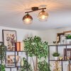 Koyoto Plafondlamp, Kogellampje Amber, Duidelijk, Rookkleurig, 2-lichts