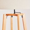 Flemming Staande lamp Natuurlijke kleuren, 1-licht