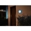 Philips Hue White & Color Ambiance Daylo Muurlamp LED roestvrij staal, 1-licht