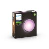 Philips Hue White & Color Ambiance Daylo Muurlamp LED roestvrij staal, 1-licht