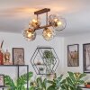 Ripoll Plafondlamp, Kogellampje Amber, Duidelijk, Rookkleurig, 6-lichts