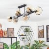 Ripoll Plafondlamp, Kogellampje Amber, Duidelijk, Rookkleurig, 10-lichts