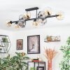 Ripoll Plafondlamp, Kogellampje Amber, Duidelijk, Rookkleurig, 10-lichts