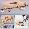 Chehalis Plafondlamp, Kogellampje Amber, Duidelijk, Rookkleurig, 10-lichts
